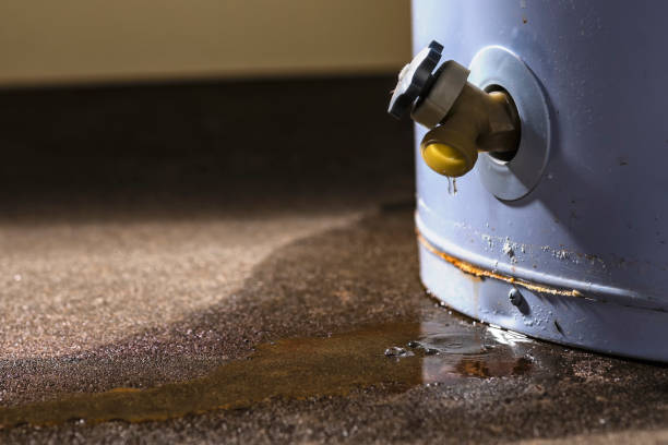 Best Local water damage restoration  in Harbor Bluffs, FL
