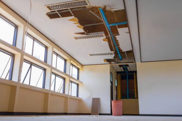  Harbor Bluffs, FL Water damage restoration Pros