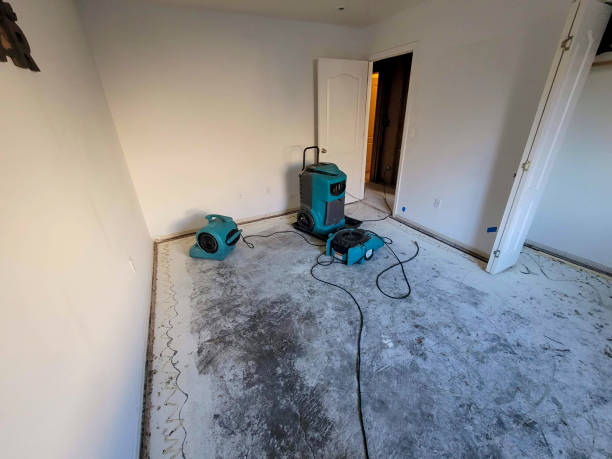 Best Residential water damage restoration  in Harbor Bluffs, FL